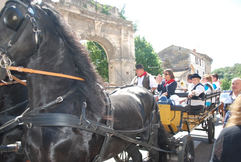 Foire_chevaux_bedarrides__2019_31.jpg