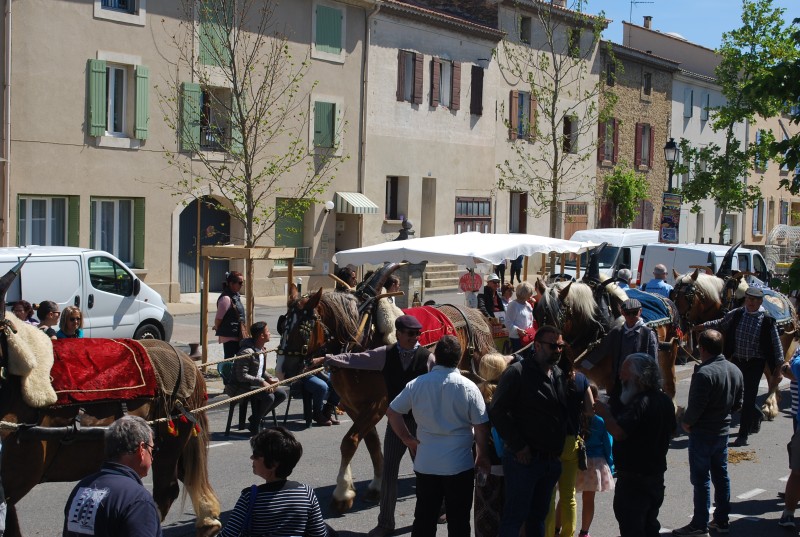 Foire_chevaux_bedarrides__2019_41.jpg