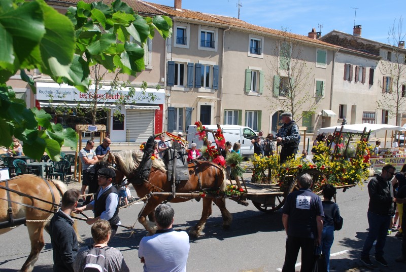 Foire_chevaux_bedarrides__2019_43.jpg