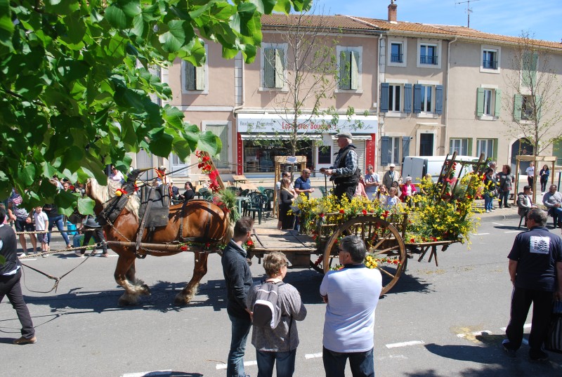 Foire_chevaux_bedarrides__2019_44.jpg