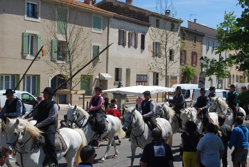 Foire_chevaux_bedarrides__2019_46.jpg