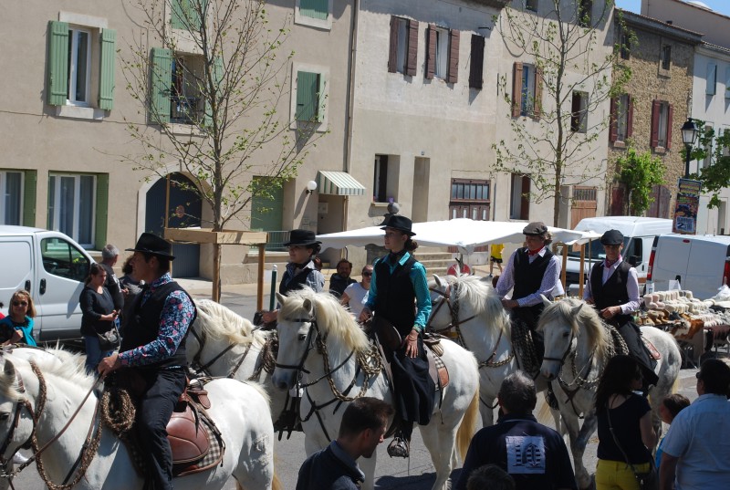 Foire_chevaux_bedarrides__2019_47.jpg