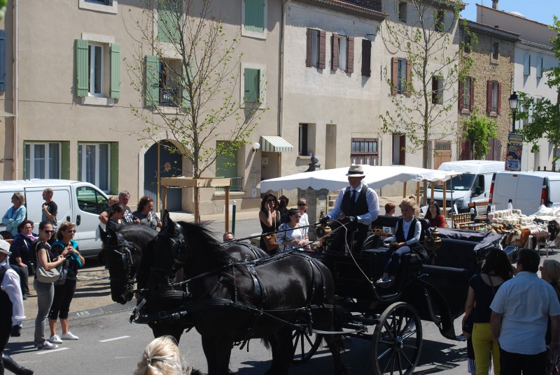 Foire_chevaux_bedarrides__2019_48.jpg