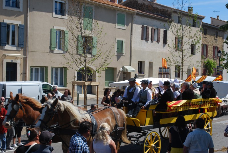 Foire_chevaux_bedarrides__2019_49.jpg