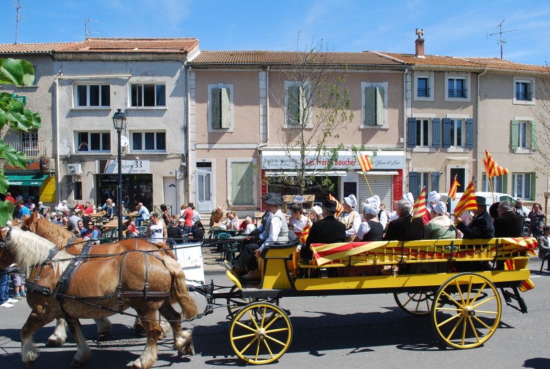 Foire_chevaux_bedarrides__2019_50.jpg