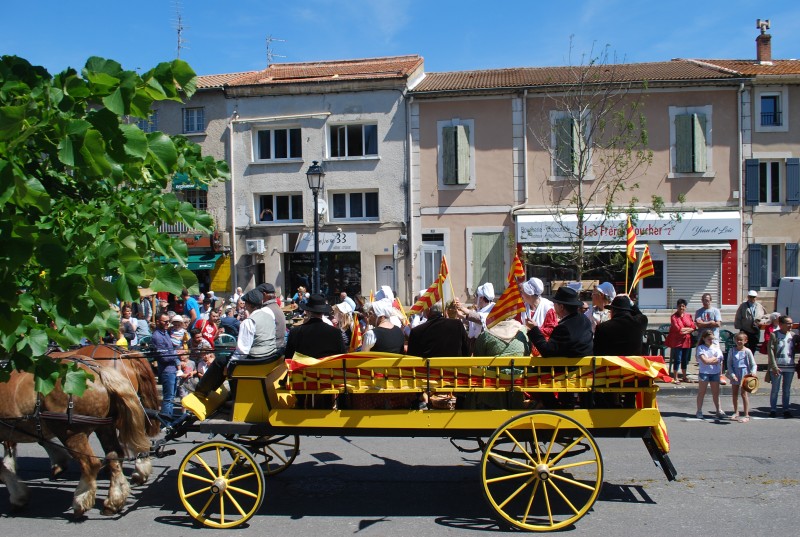 Foire_chevaux_bedarrides__2019_51.jpg