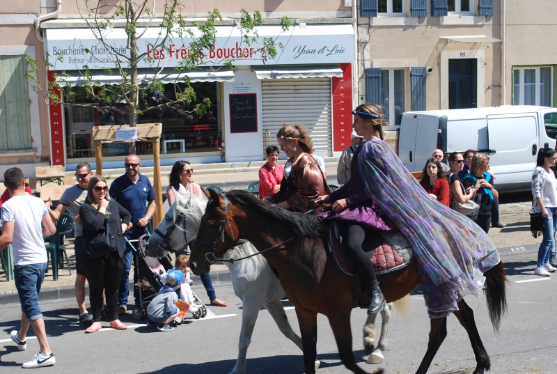 Foire_chevaux_bedarrides__2019_52.jpg