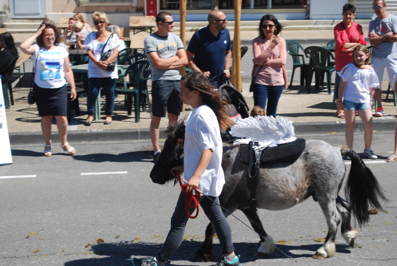 Foire_chevaux_bedarrides__2019_54.jpg