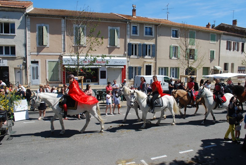 Foire_chevaux_bedarrides__2019_56.jpg