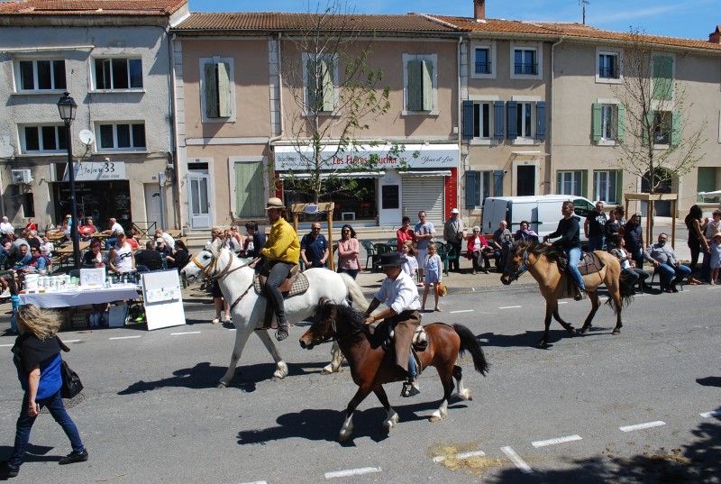 Foire_chevaux_bedarrides__2019_57.jpg