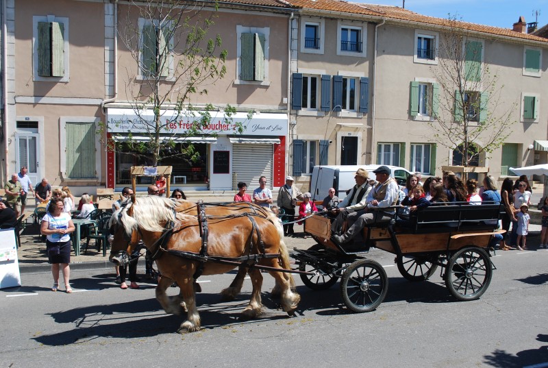 Foire_chevaux_bedarrides__2019_58.jpg