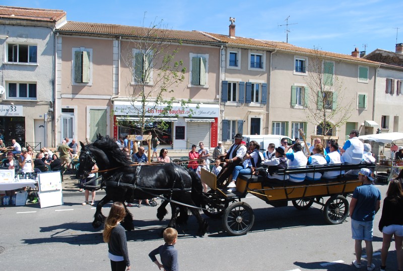 Foire_chevaux_bedarrides__2019_60.jpg