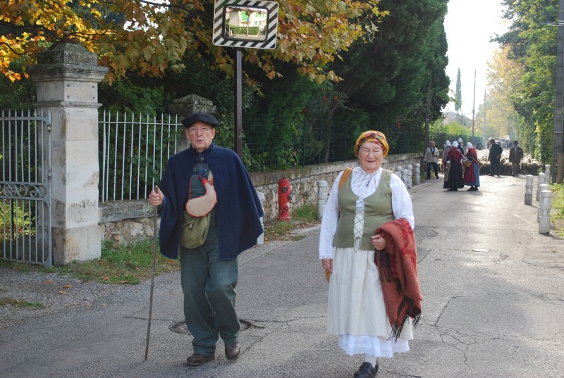 transhumance_montfavet_2015__03.jpg