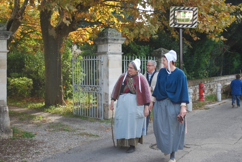 transhumance_montfavet_2015__05.jpg