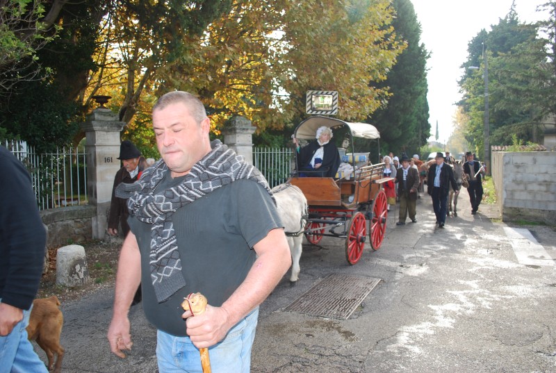 transhumance_montfavet_2015__15.jpg