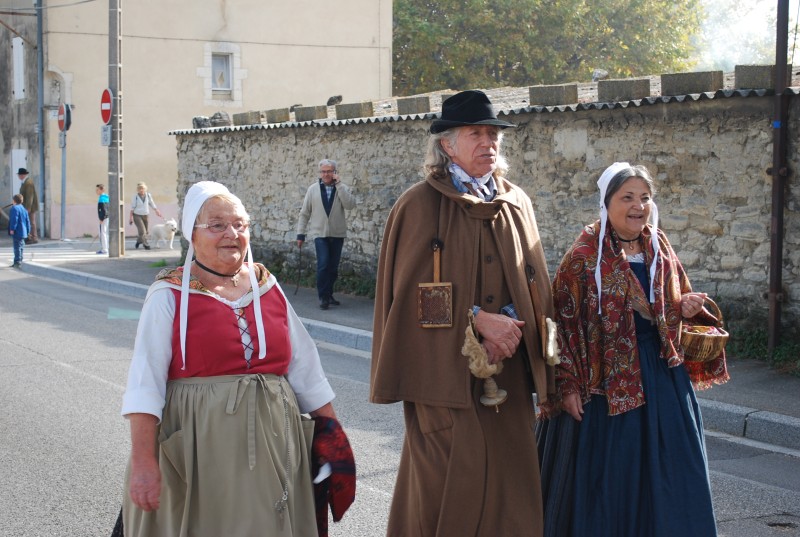 transhumance_montfavet_2015__24.jpg