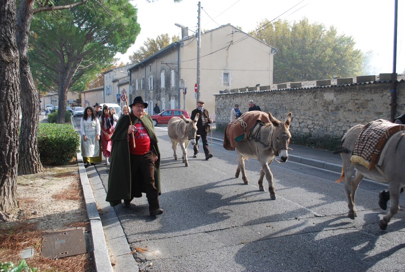 transhumance_montfavet_2015__35.jpg