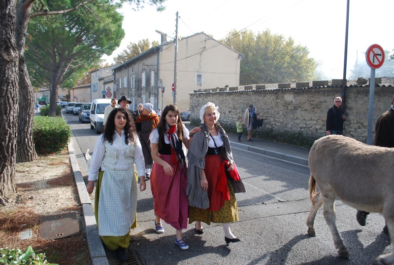 transhumance_montfavet_2015__36.jpg