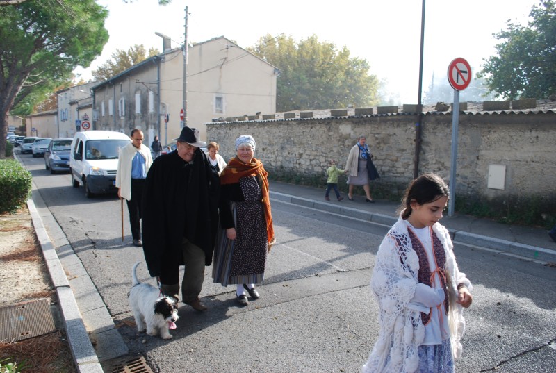 transhumance_montfavet_2015__37.jpg