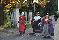 transhumance_montfavet_2015__02.jpg