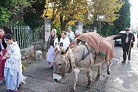 transhumance_montfavet_2015__17.jpg