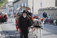 transhumance_montfavet_2015__33.jpg