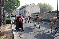 transhumance_montfavet_2015__35.jpg